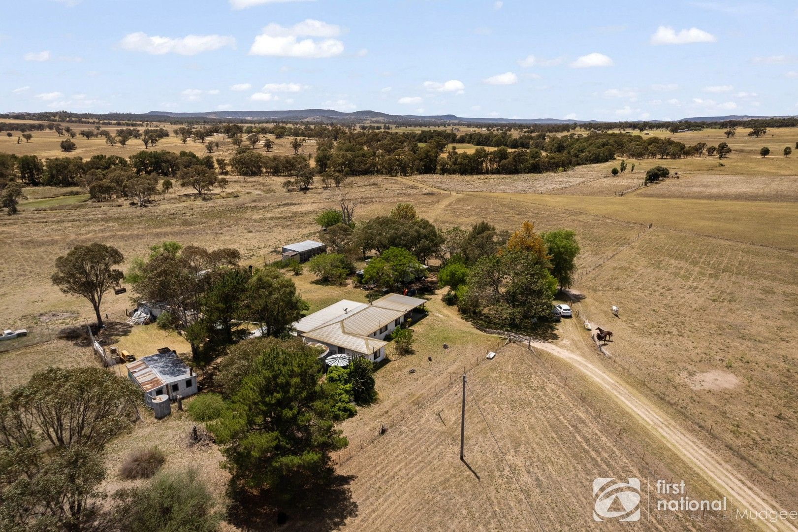 123 Norlenbah Road, Mudgee NSW 2850 Specialist Farm for Sale