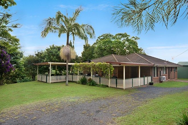 Picture of 599 Pearces Creek Road, ALSTONVALE NSW 2477
