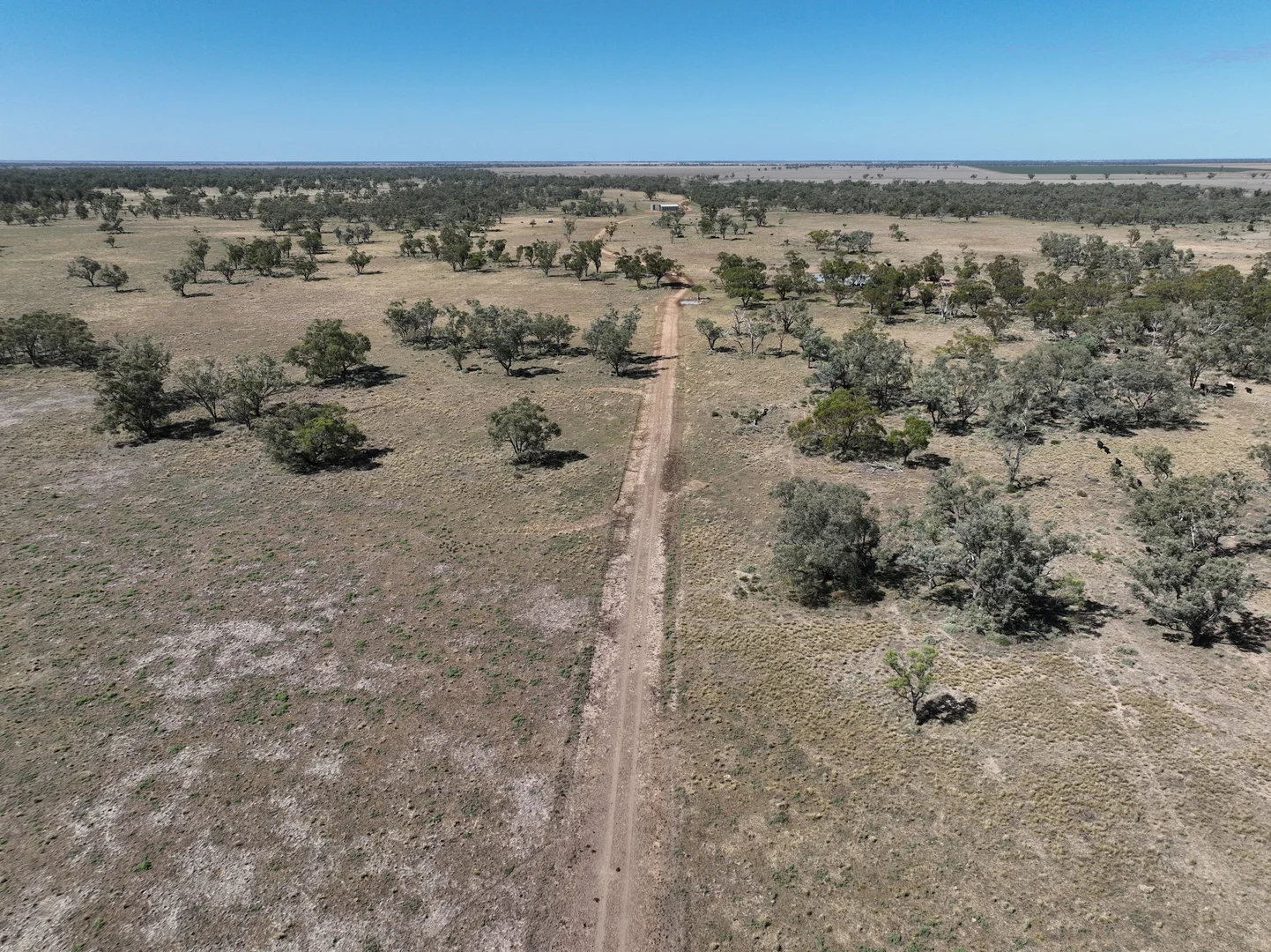 Additional image 23 of . Sunnyside Lane, Wee Waa NSW 2388
