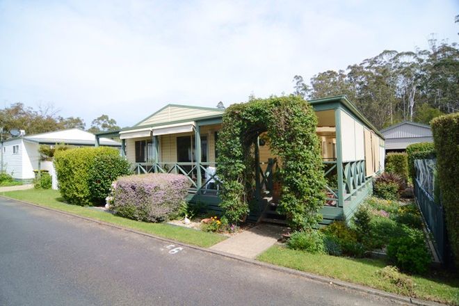 Picture of Villa 56, 3197/Villa 56, 3197 Princes Hwy, MILLINGANDI NSW 2549