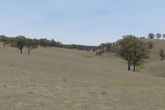 Picture of Kohinui Park Oaklands Rd, YARROWITCH NSW 2354