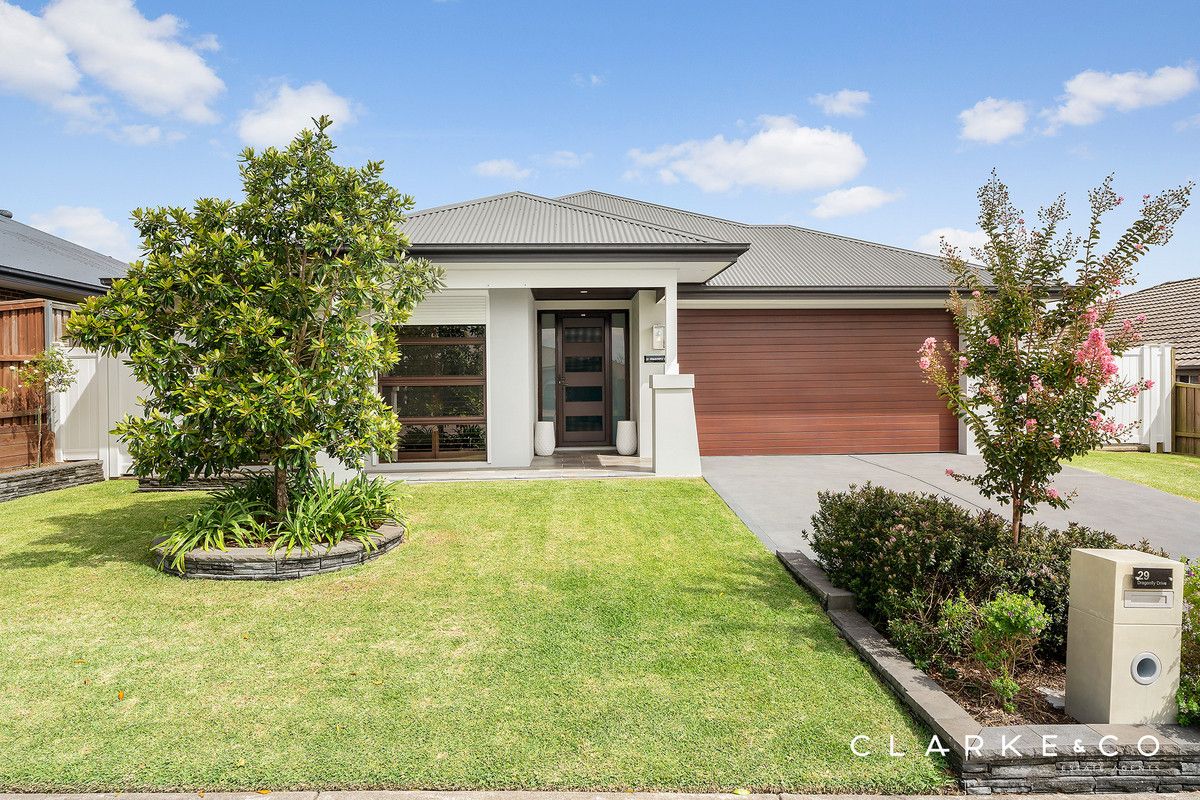 29 Dragonfly Drive, Chisholm NSW 2322