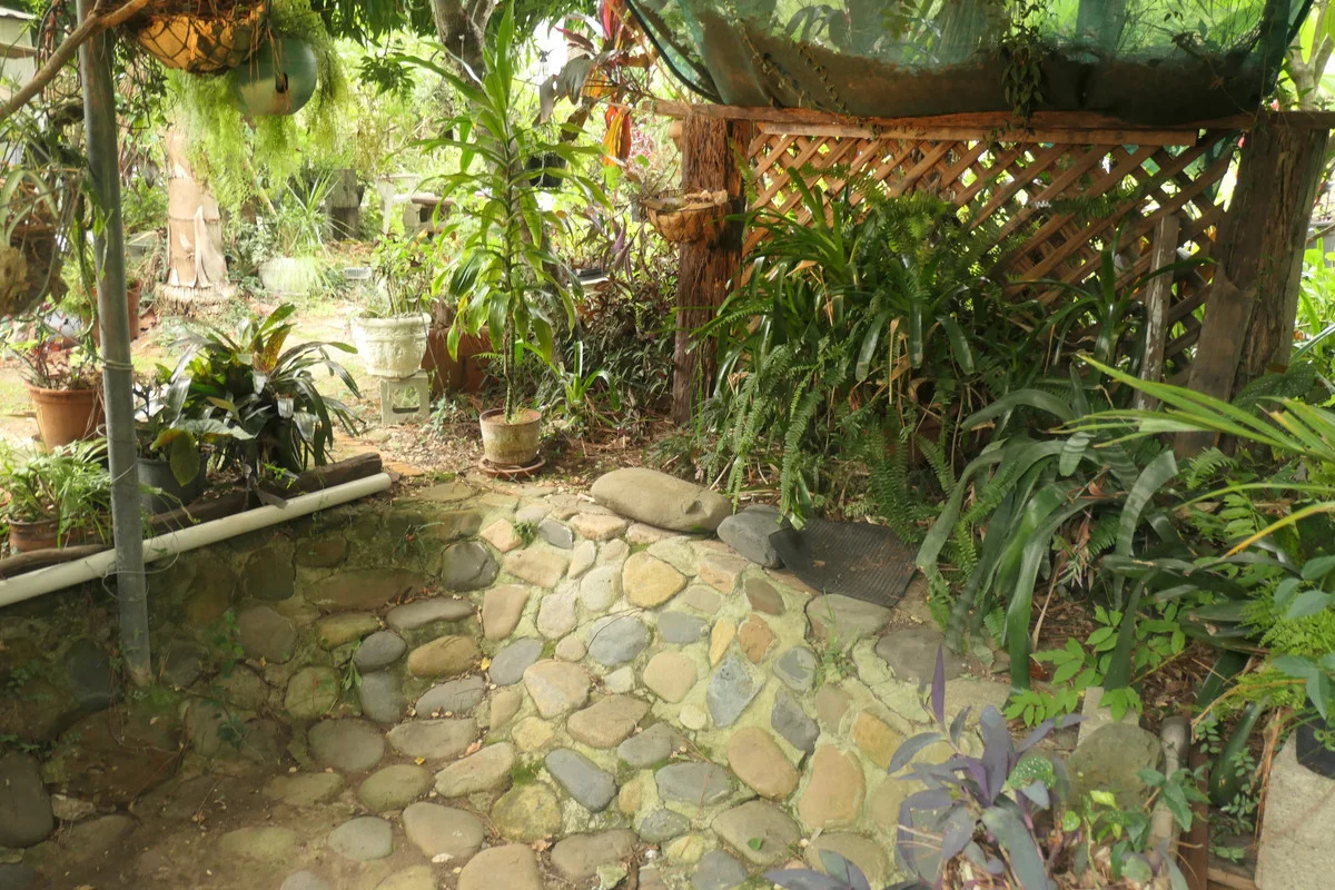 Image 14