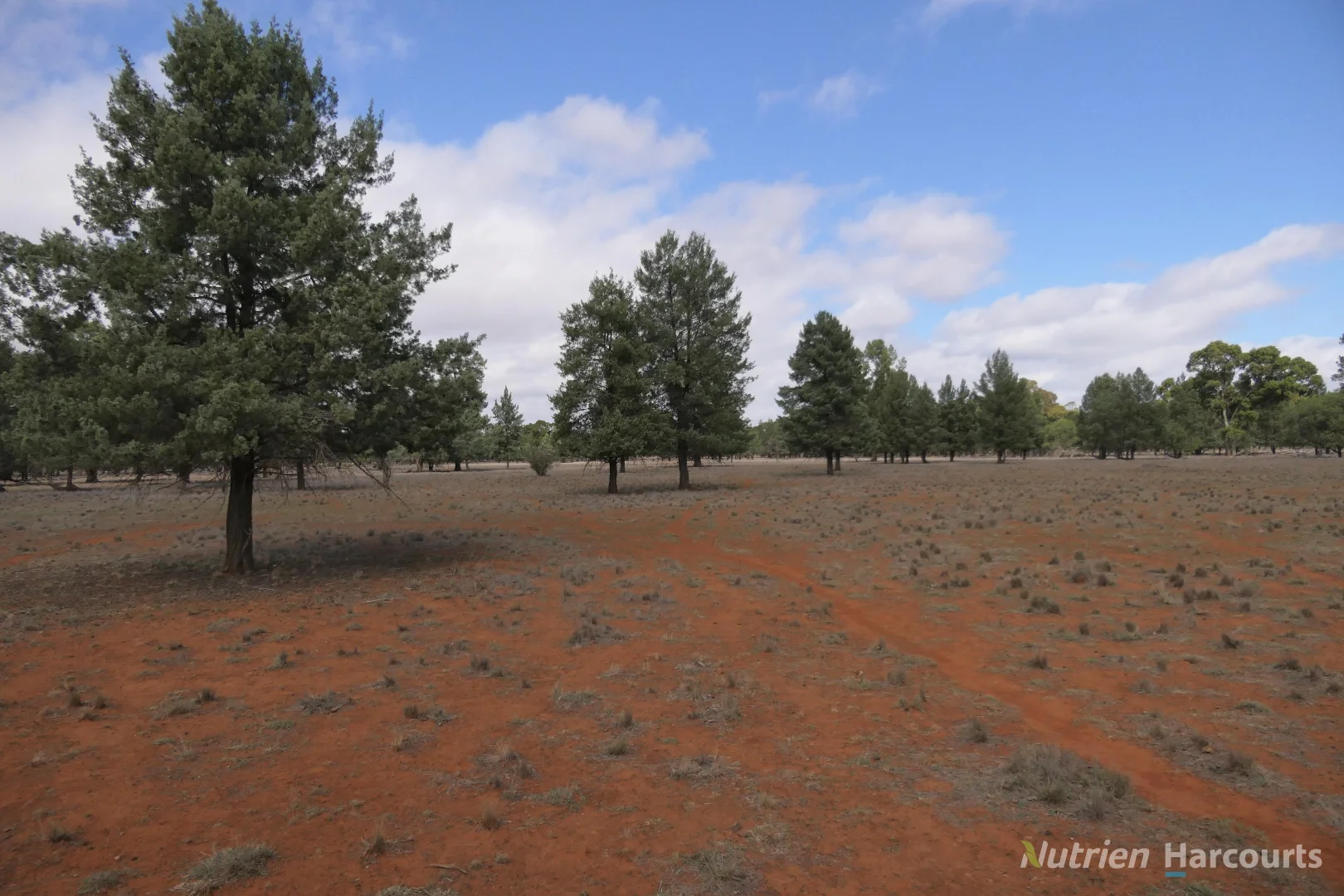 Image 14
