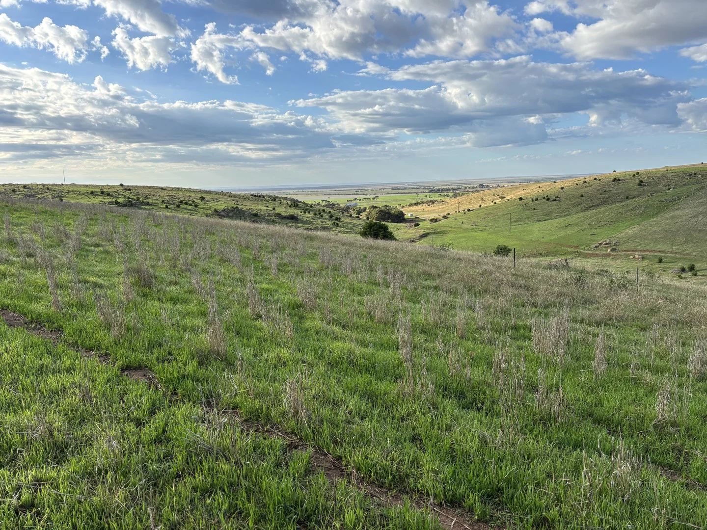 Lot 42 Harvey Well Road, Tumby Bay SA 5605