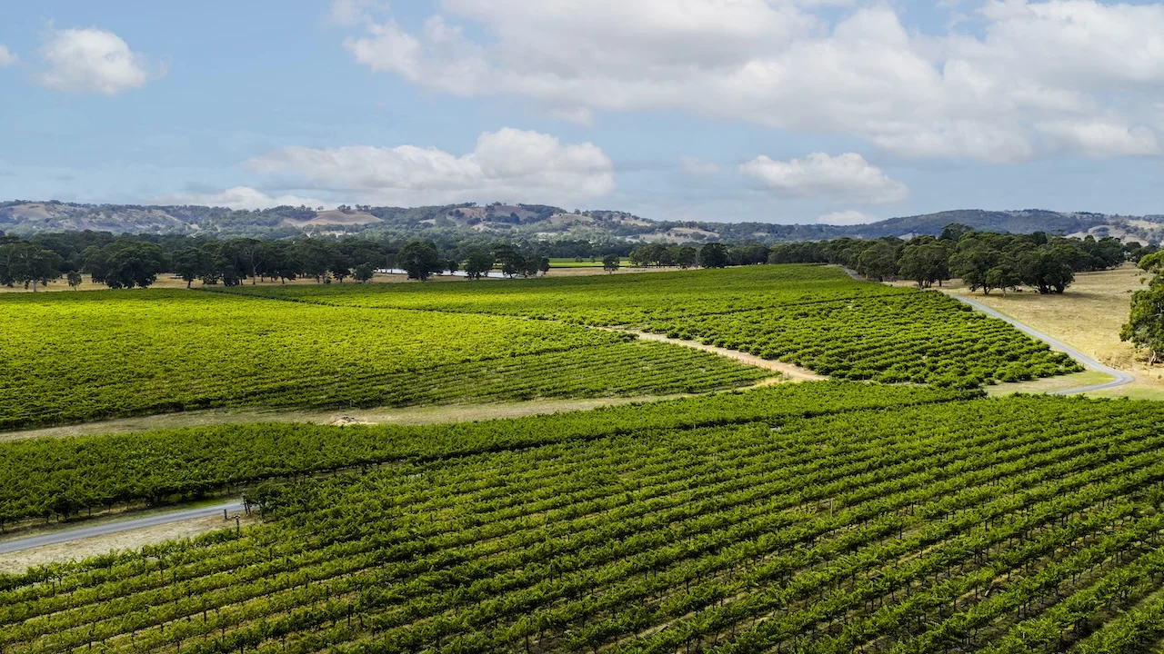 Additional image 36 of 49 Chapel Hill Road, Kangarilla SA 5157