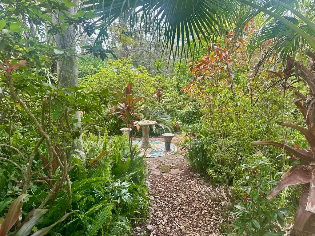 Image 15