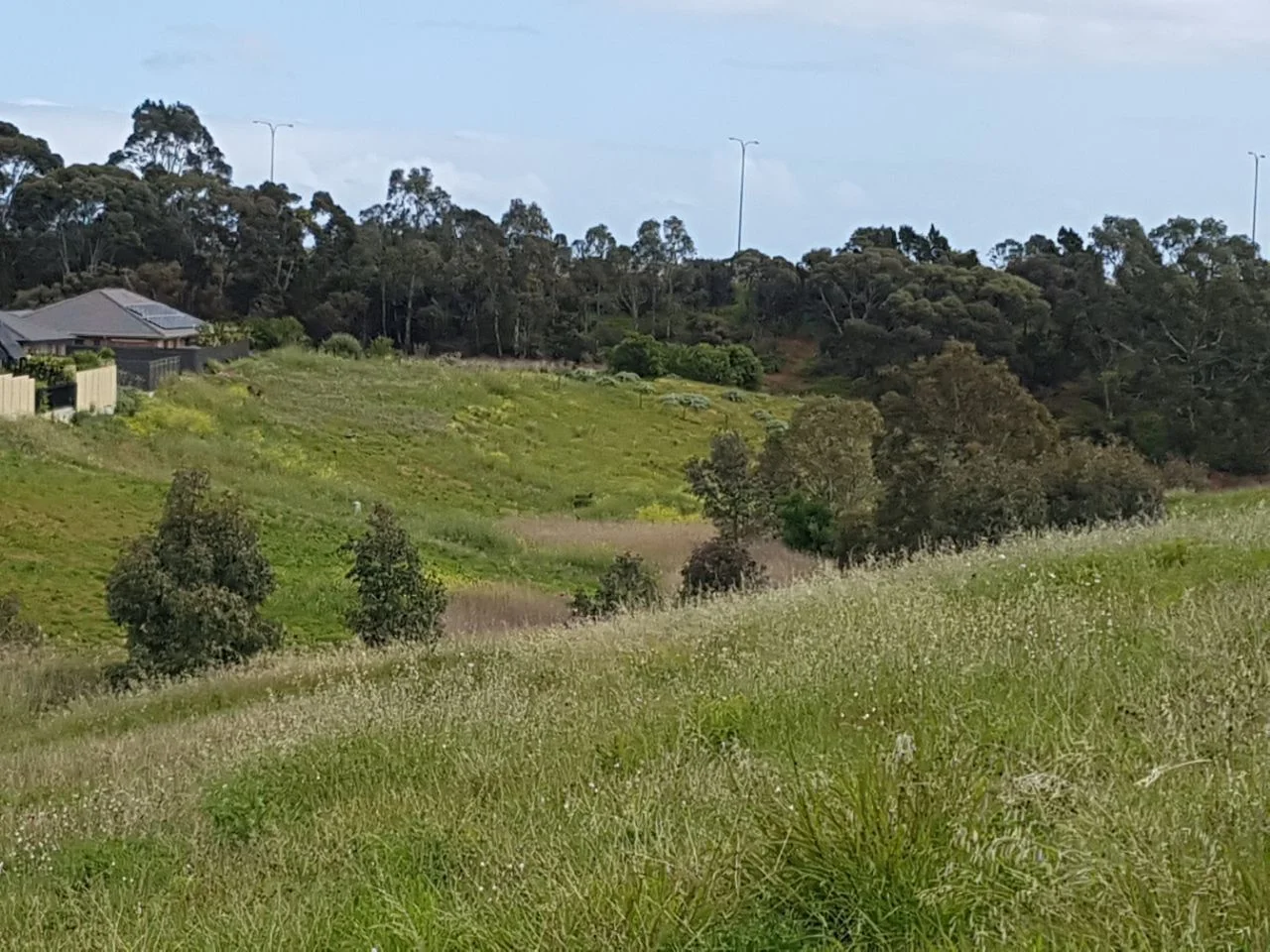 Additional image 6 of 41-44 Yeltana Avenue, Huntfield Heights SA 5163