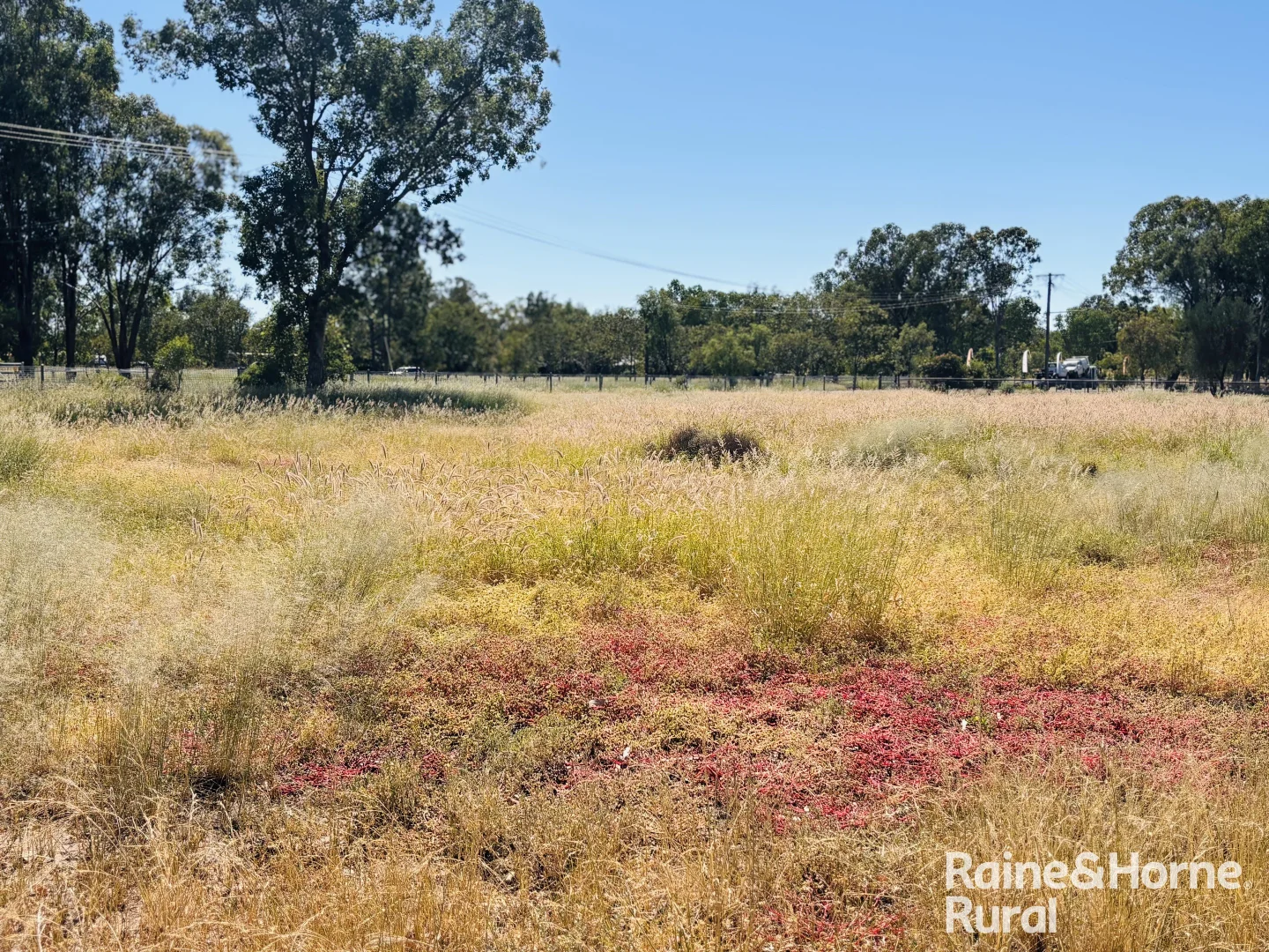 Additional image 14 of 60 Mcphie Street, Roma QLD 4455