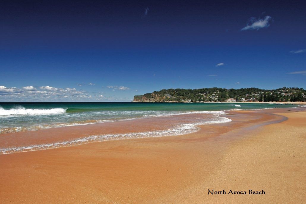 3 Seasound Crescent, North Avoca NSW 2260, Image 0