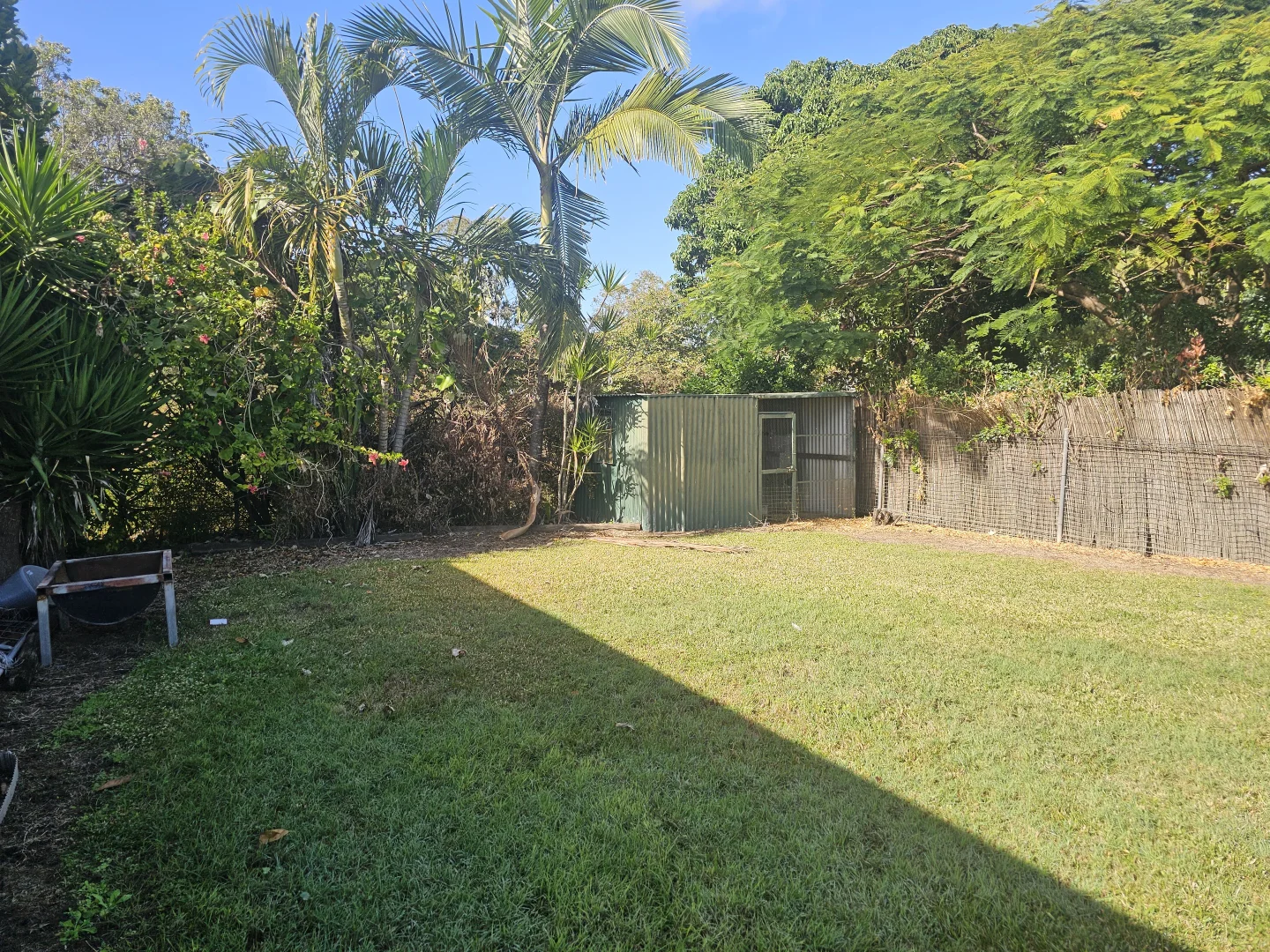 Image 11
