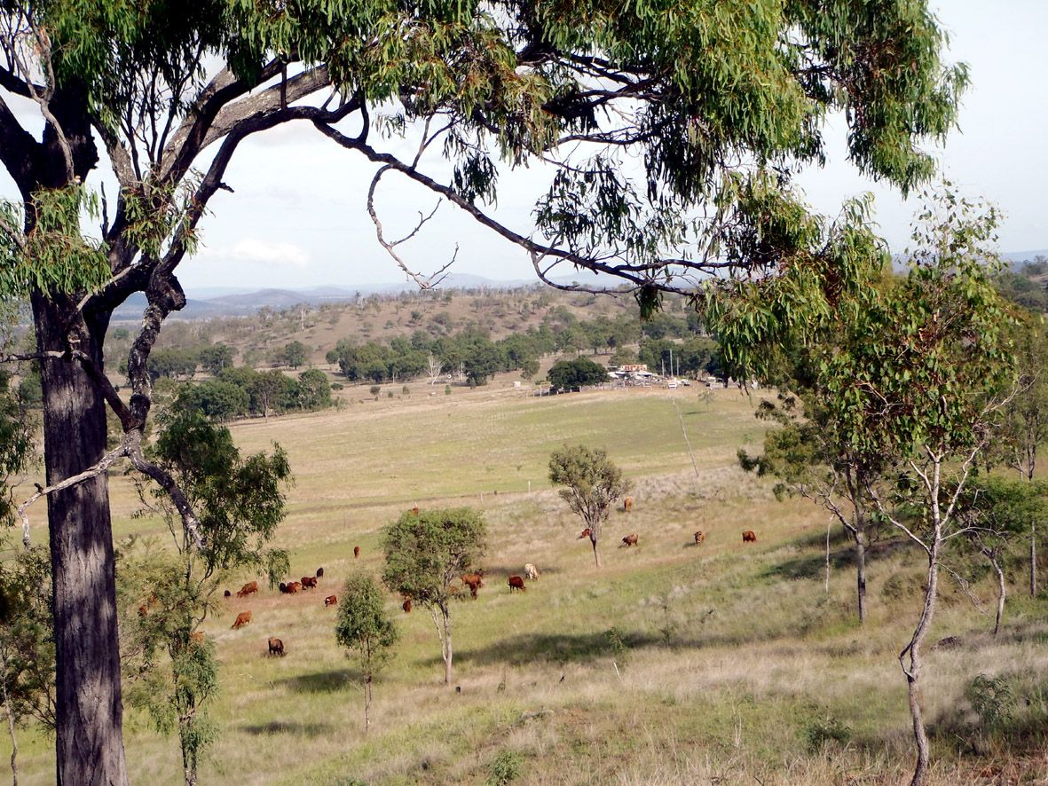 325 CHRISTENSENS ROAD, Gooroolba QLD 4625, Image 0