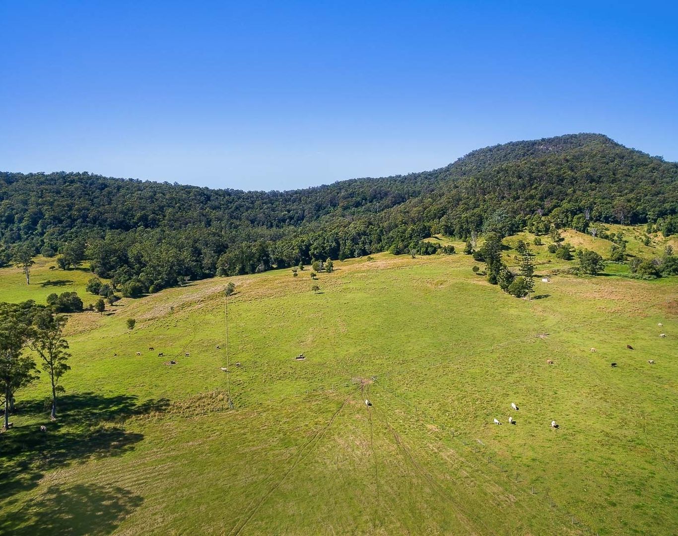 2325 NERANG MURWILLUMBAH ROAD, Numinbah Valley QLD 4211 Specialist