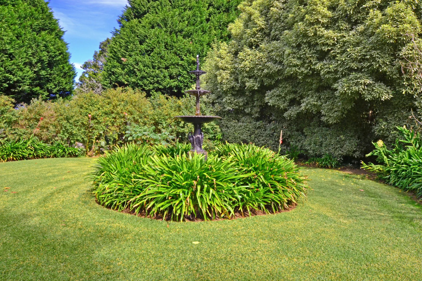 Image 27