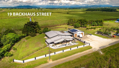 Picture of 19 Backhaus Street, INNISFAIL QLD 4860