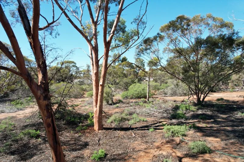 Additional image 3 of 26 Slaughter Road, Loveday SA 5345