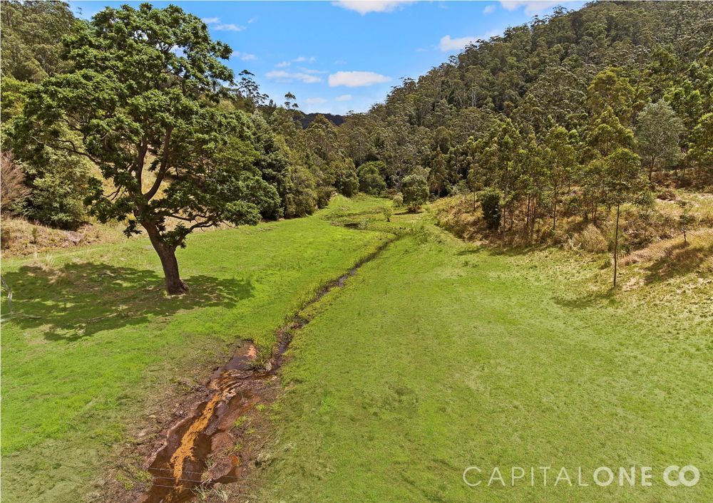 160 Spring Gully Lane, Cedar Brush Creek NSW 2259, Image 0