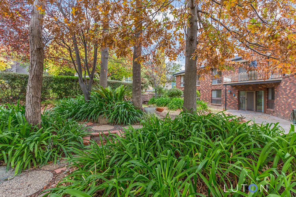 63 Woolner Circuit, Hawker ACT 2614, Image 2