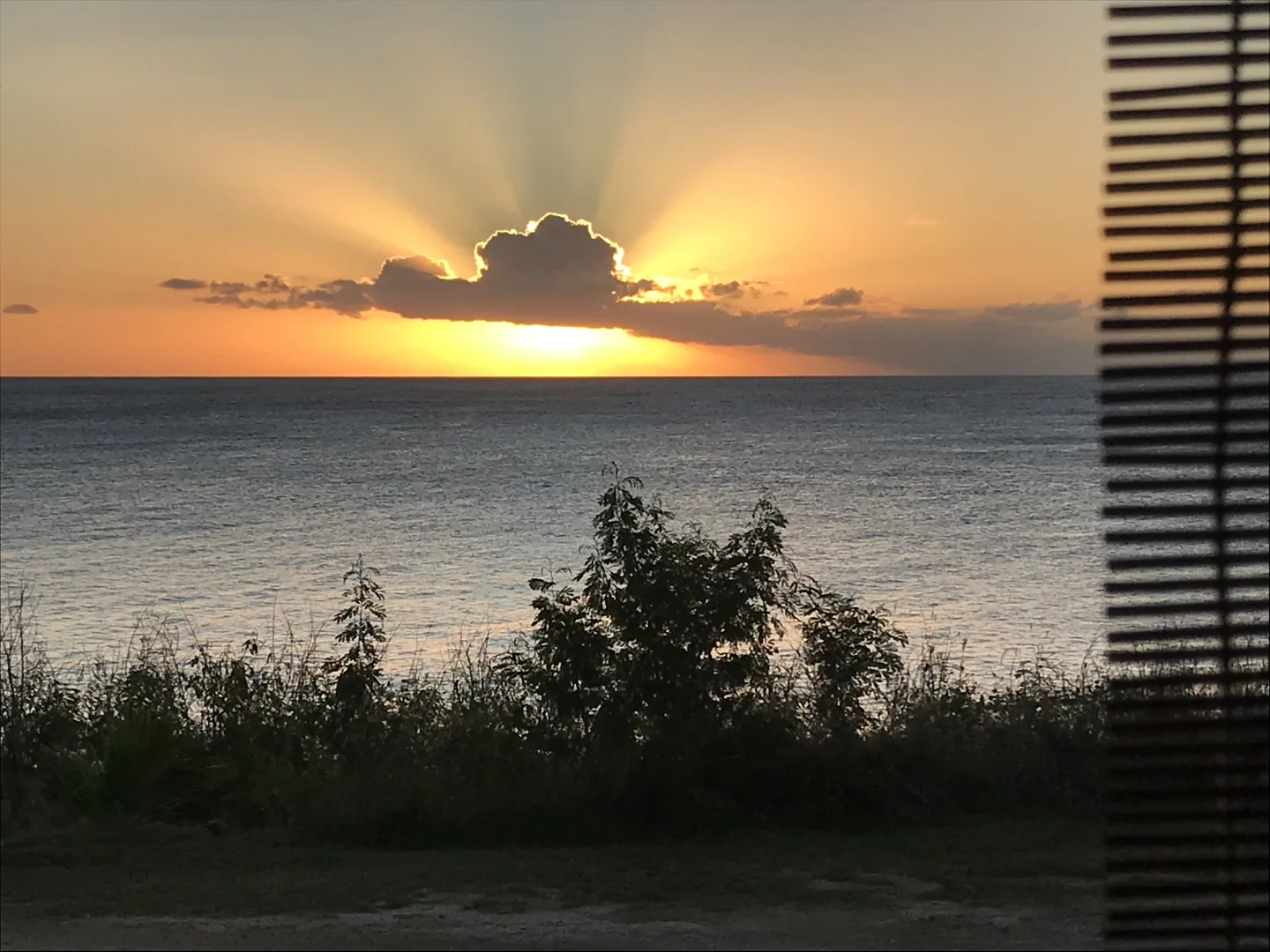 Image 13