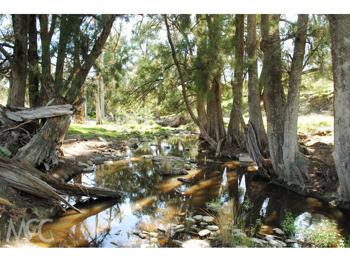 'Oakey Park' Oaky Lane, Orange NSW 2800, Image 1