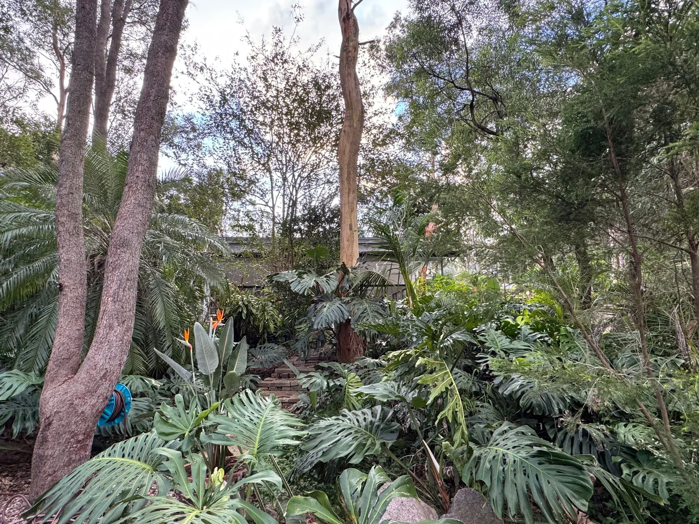 Additional image 16 of Granny flat/262 Kangaroo Gully Rd, Bellbowrie QLD 4070