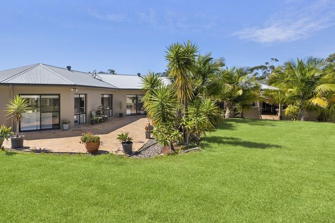 Picture of 56 Waratah Road, INGLESIDE NSW 2101