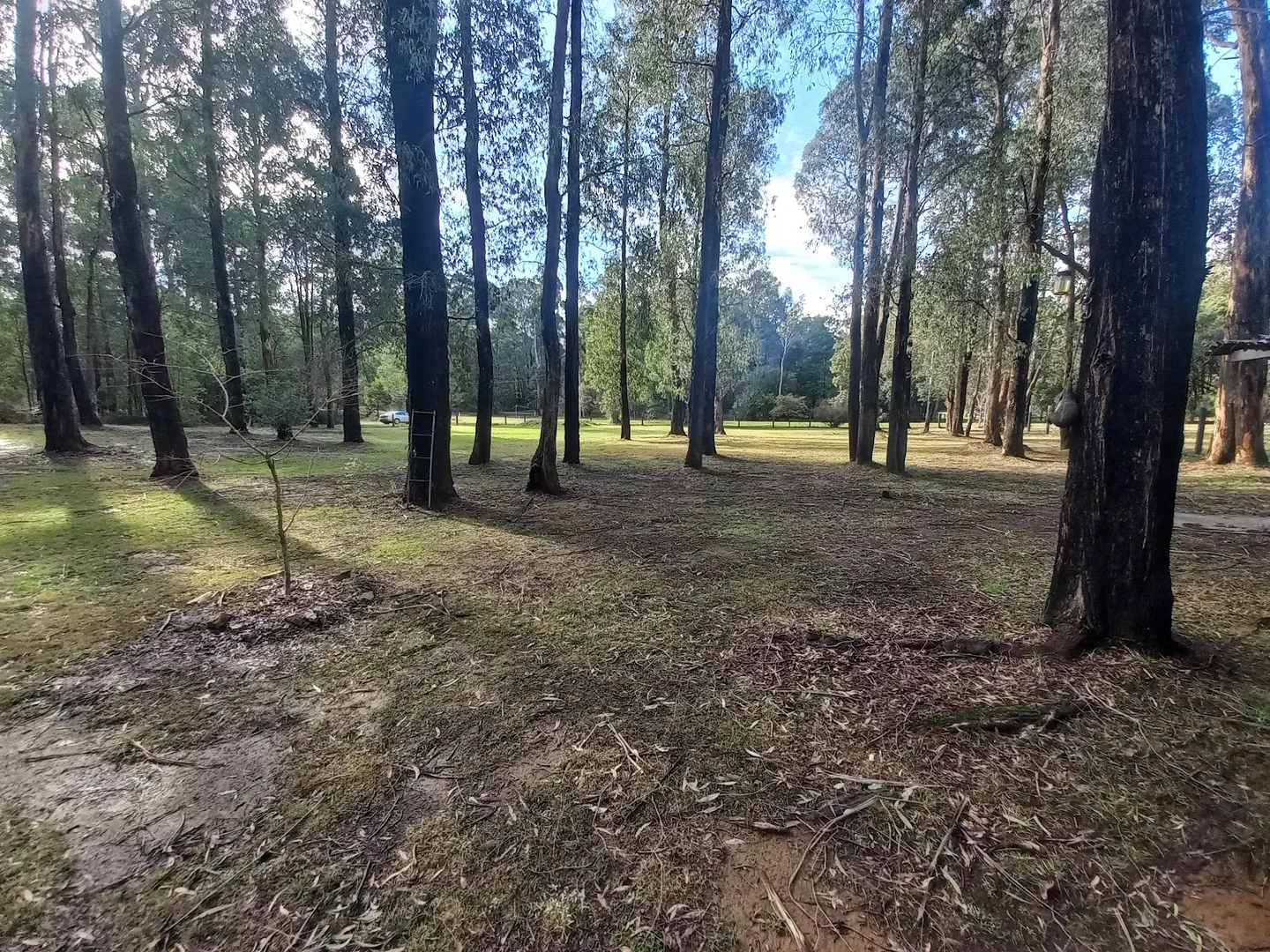 Image 10