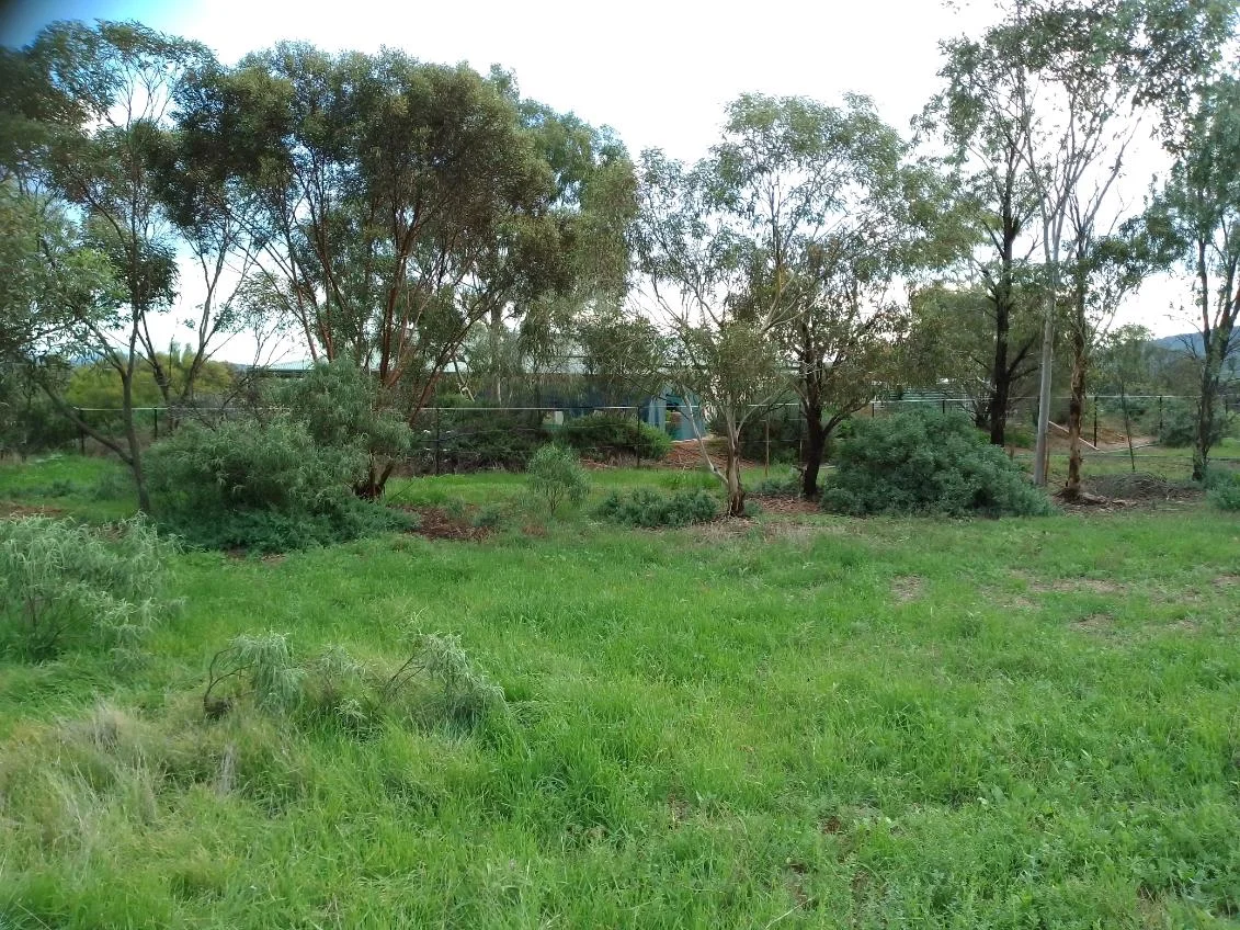 Additional image 34 of 68 Freebairn Road, Quorn SA 5433