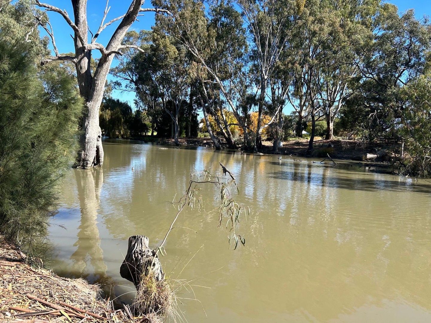 39 Vinecombe Lane, Barham NSW 2732, Image 0