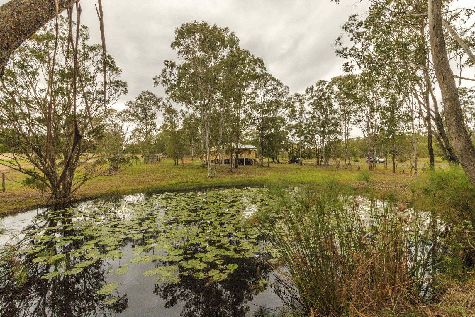 708 A Torbanlea Pialba Rd, Takura QLD 4655, Image 2