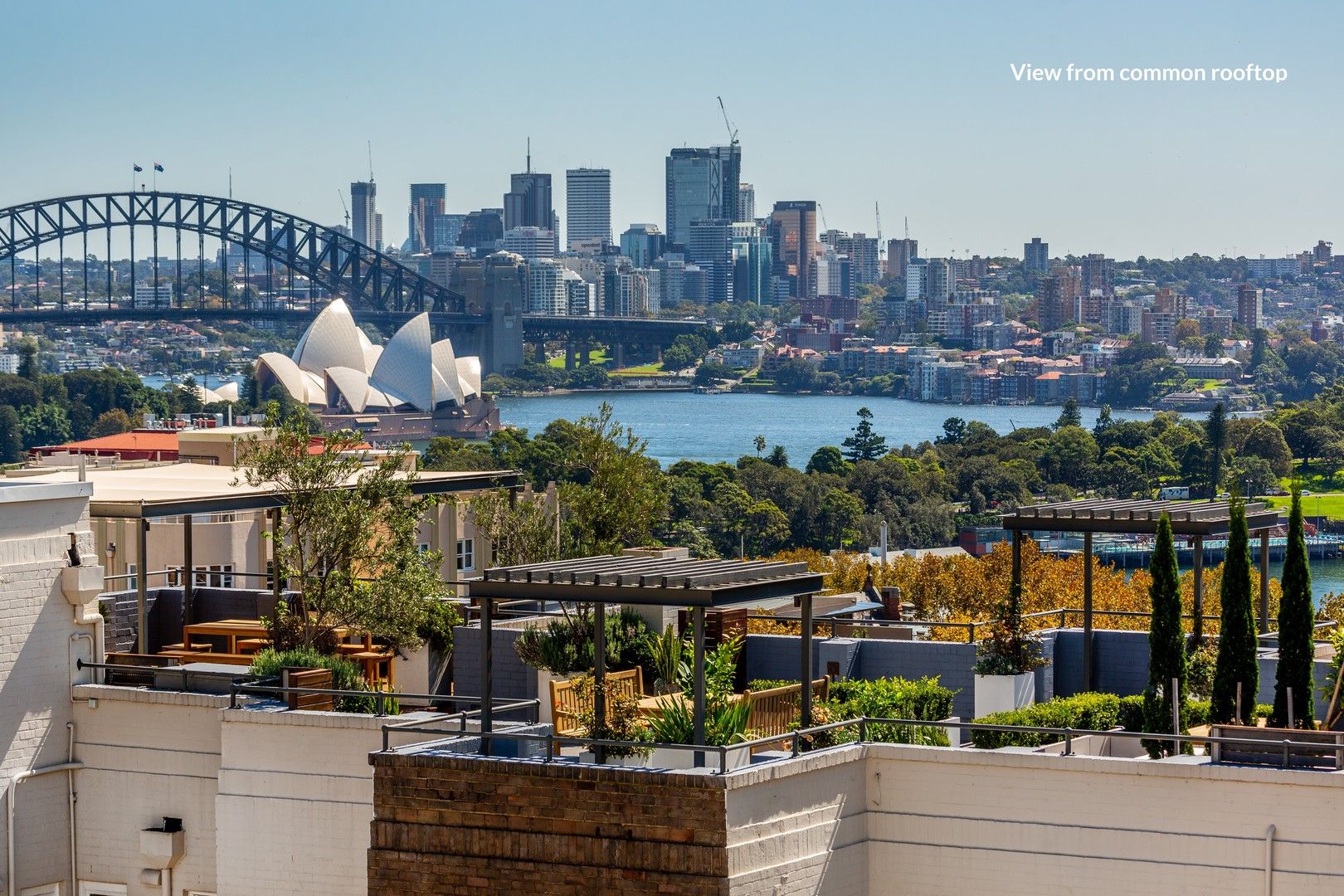 20/123-125 Macleay Street, Potts Point NSW 2011, Image 1