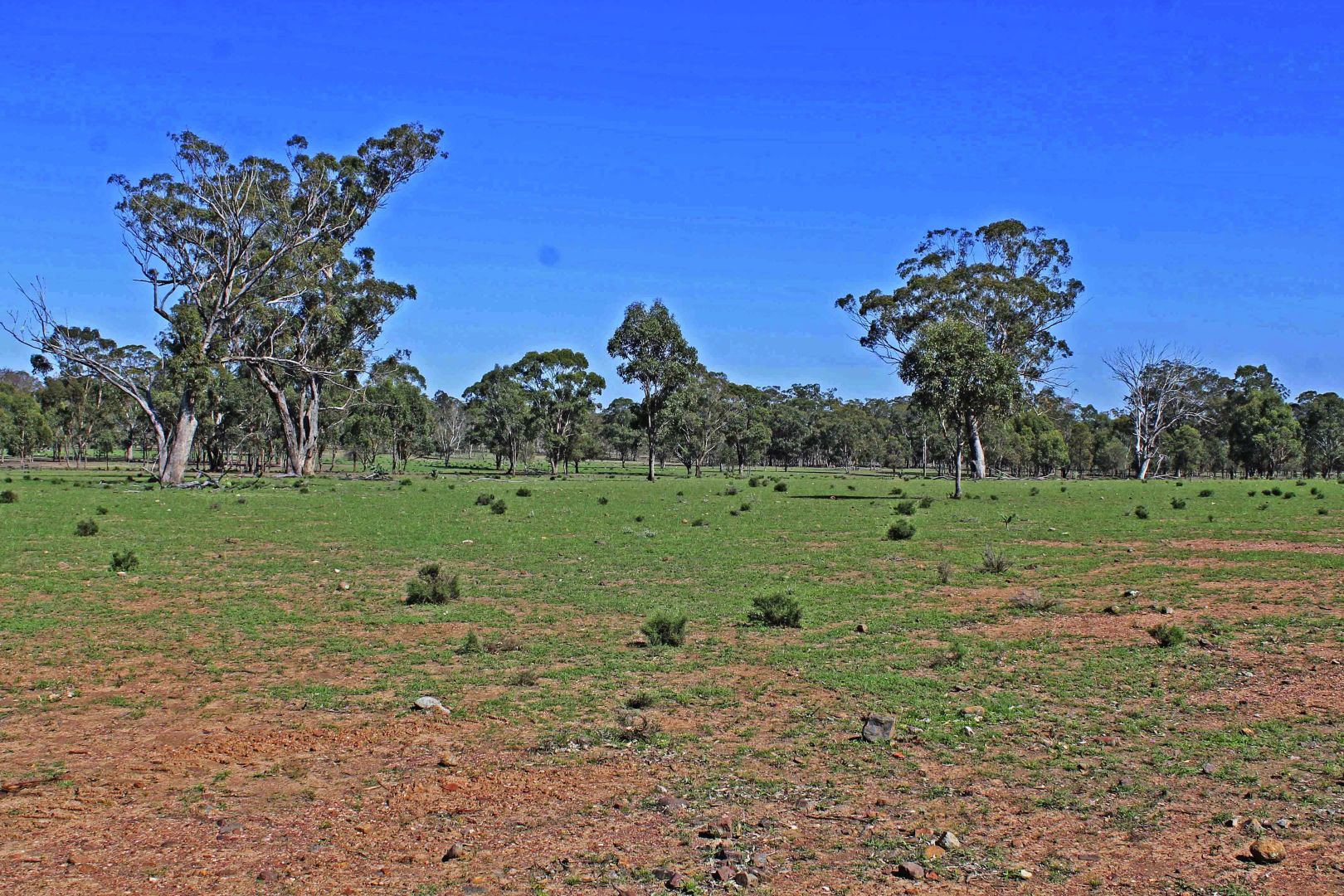 Lot 10 Rodgers Creek Road, Warwick QLD 4370, Image 1