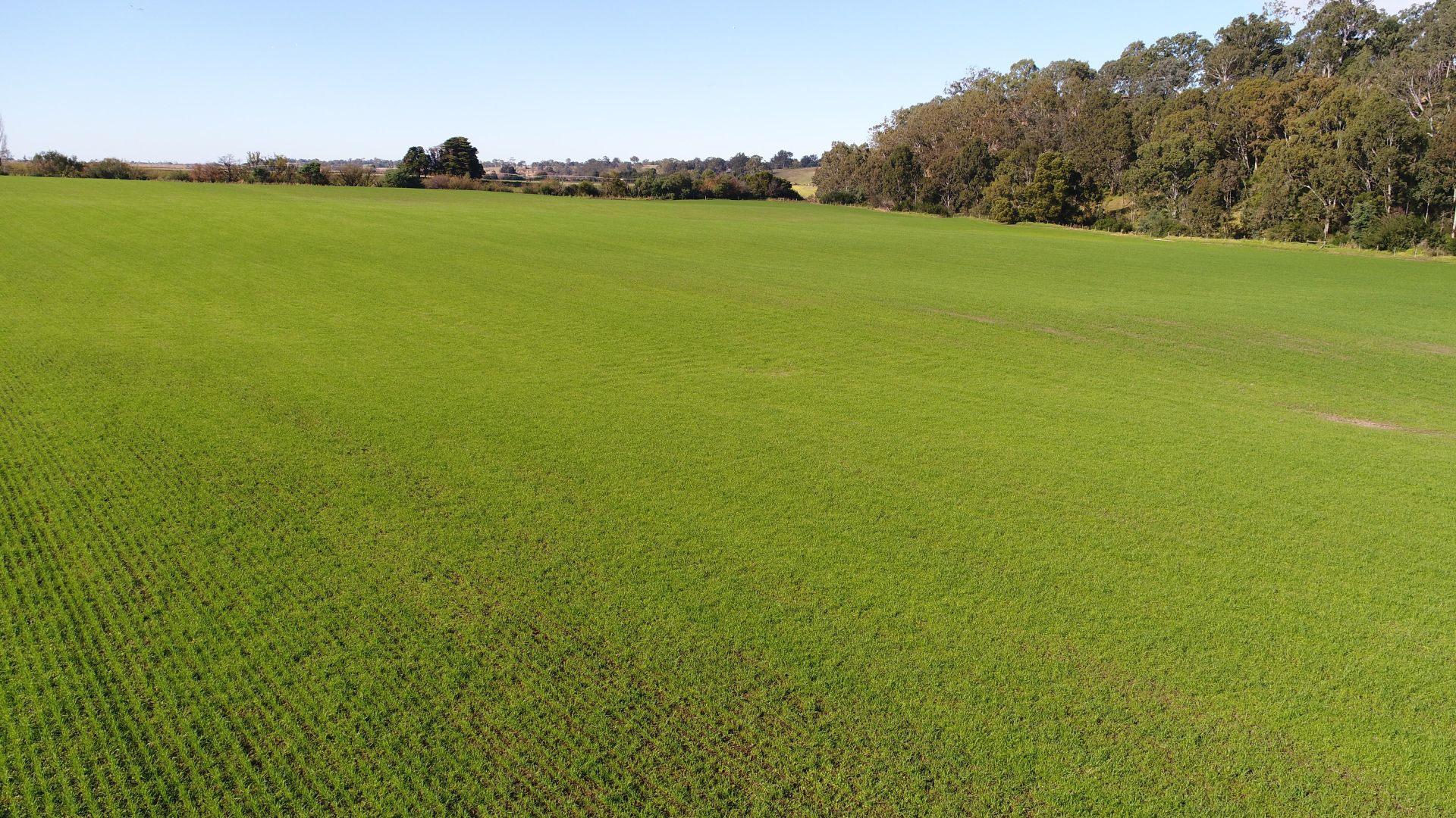 Lot 2, 1620 Fernbank-Glenaladale Road, Walpa VIC 3875, Image 2