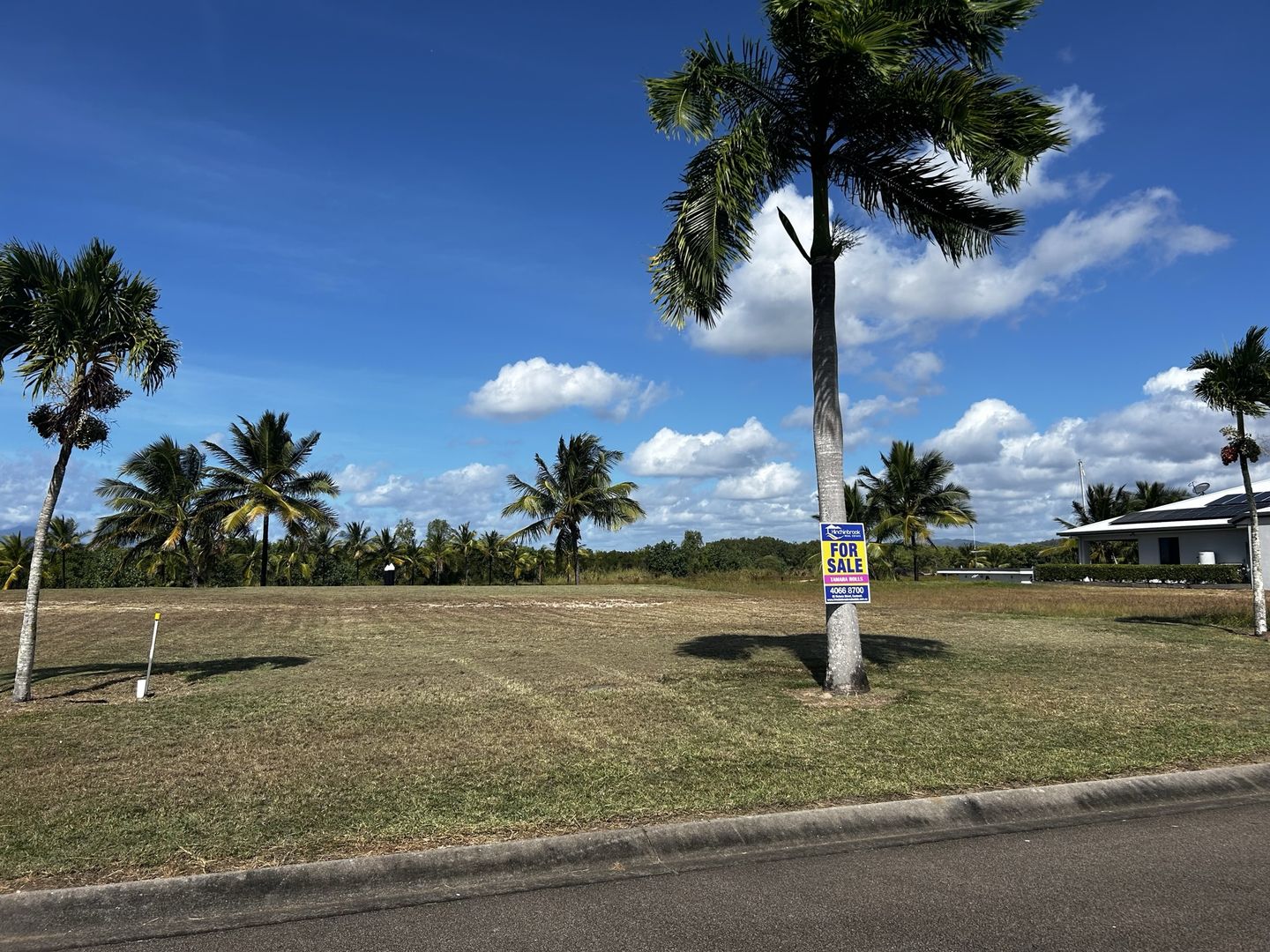 38 Royal Palm Ave, Cardwell QLD 4849 Domain