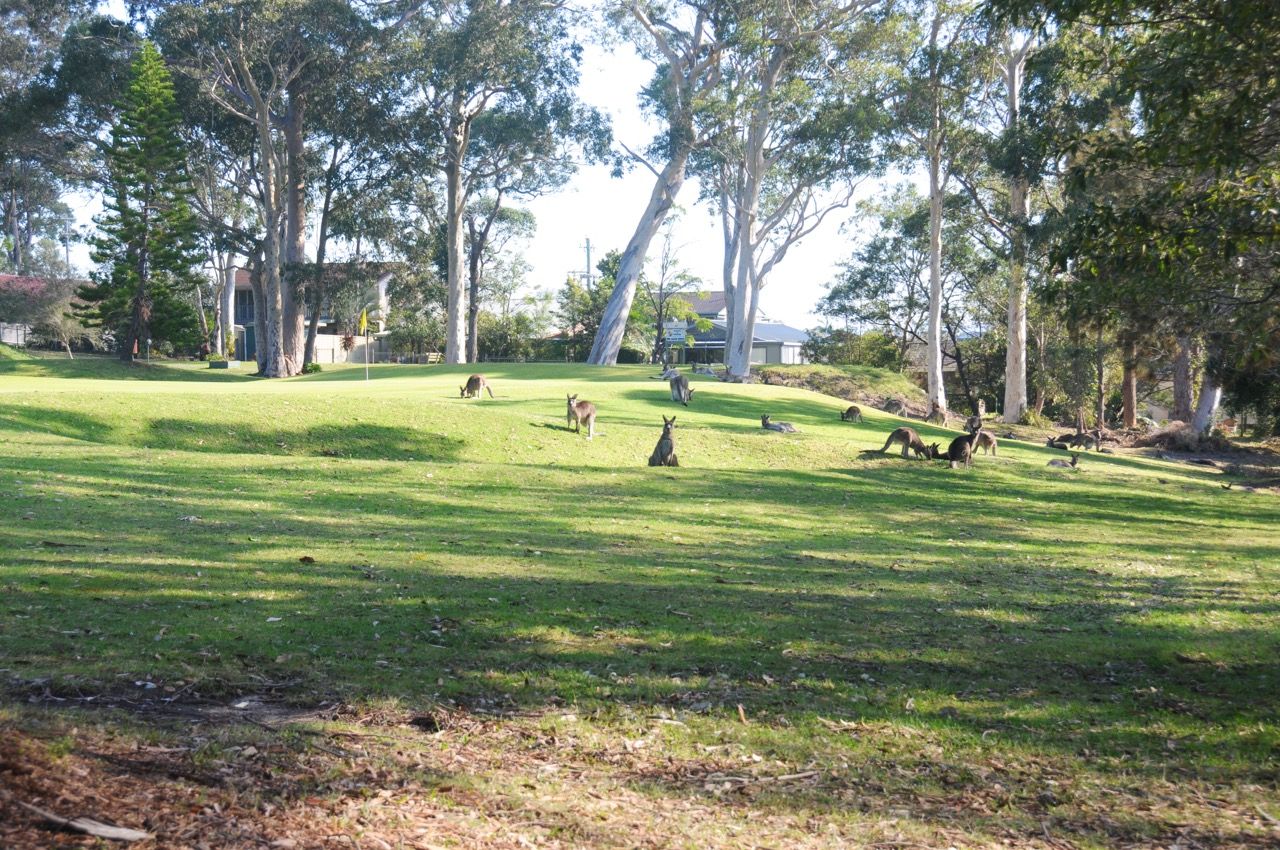 144 The Park Drive, Sanctuary Point NSW 2540, Image 1