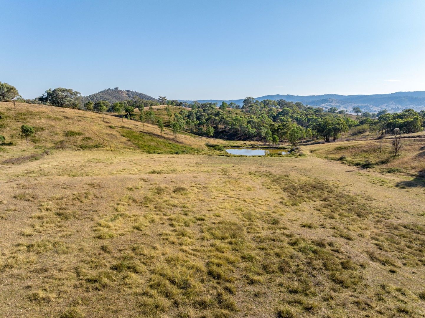 2543 Westbrook Road, Oberne Creek NSW 2650, Image 0