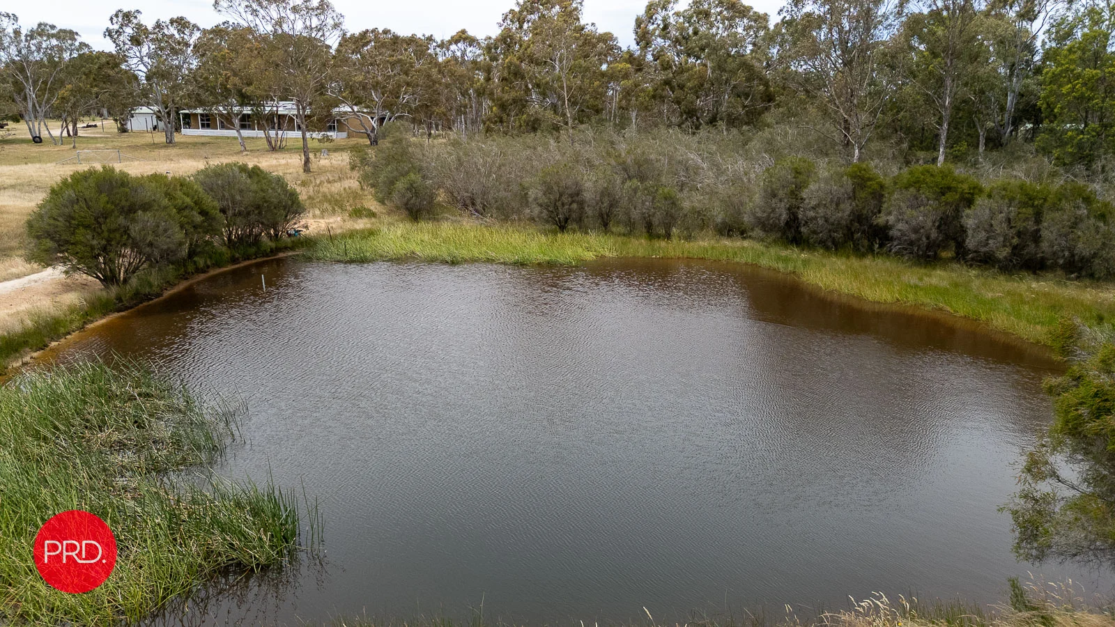 Image 24