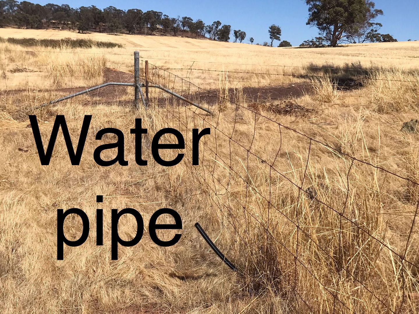 6639 Thompson Road, East Pingelly WA 6308 Vacant Land for Sale