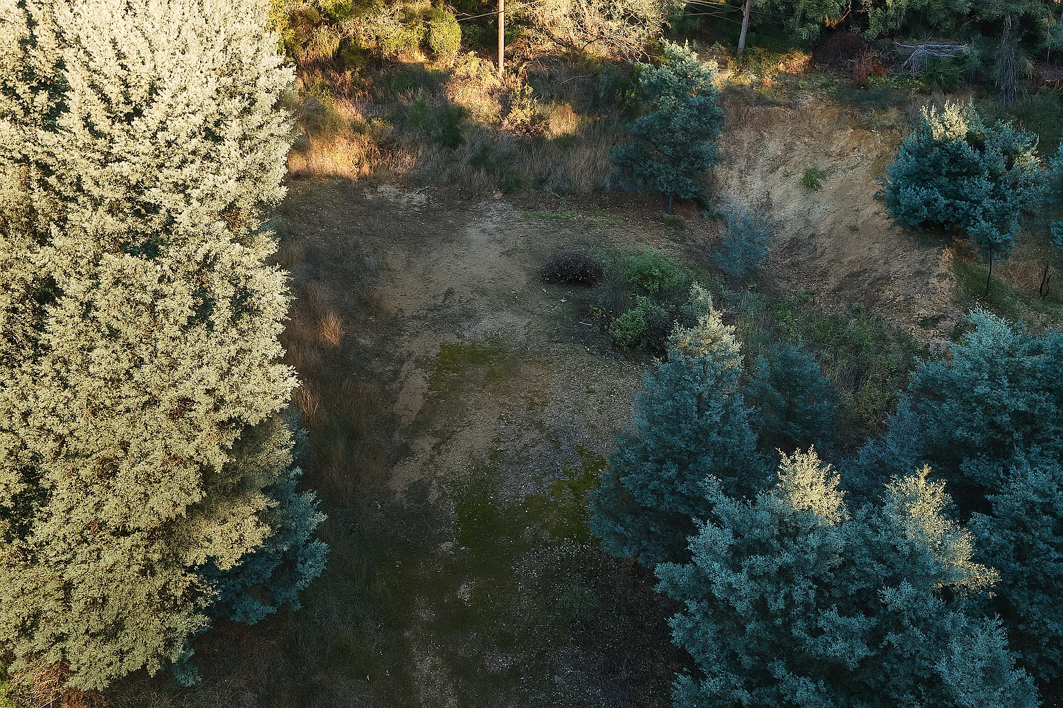 Additional image 16 of 166 Kerrisons Road, Holwell TAS 7275