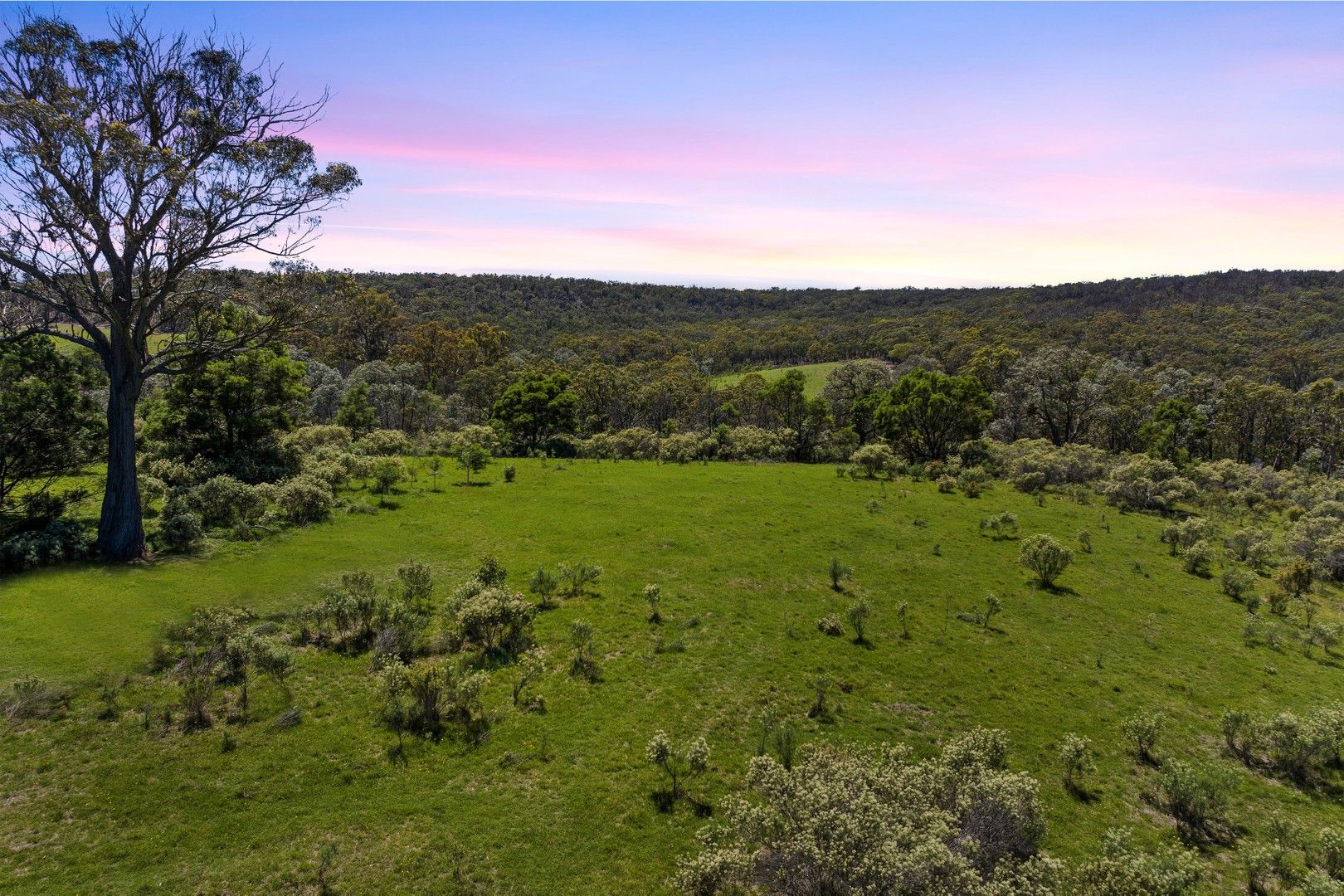 181 Old Coowong Road, Canyonleigh NSW 2577, Image 0