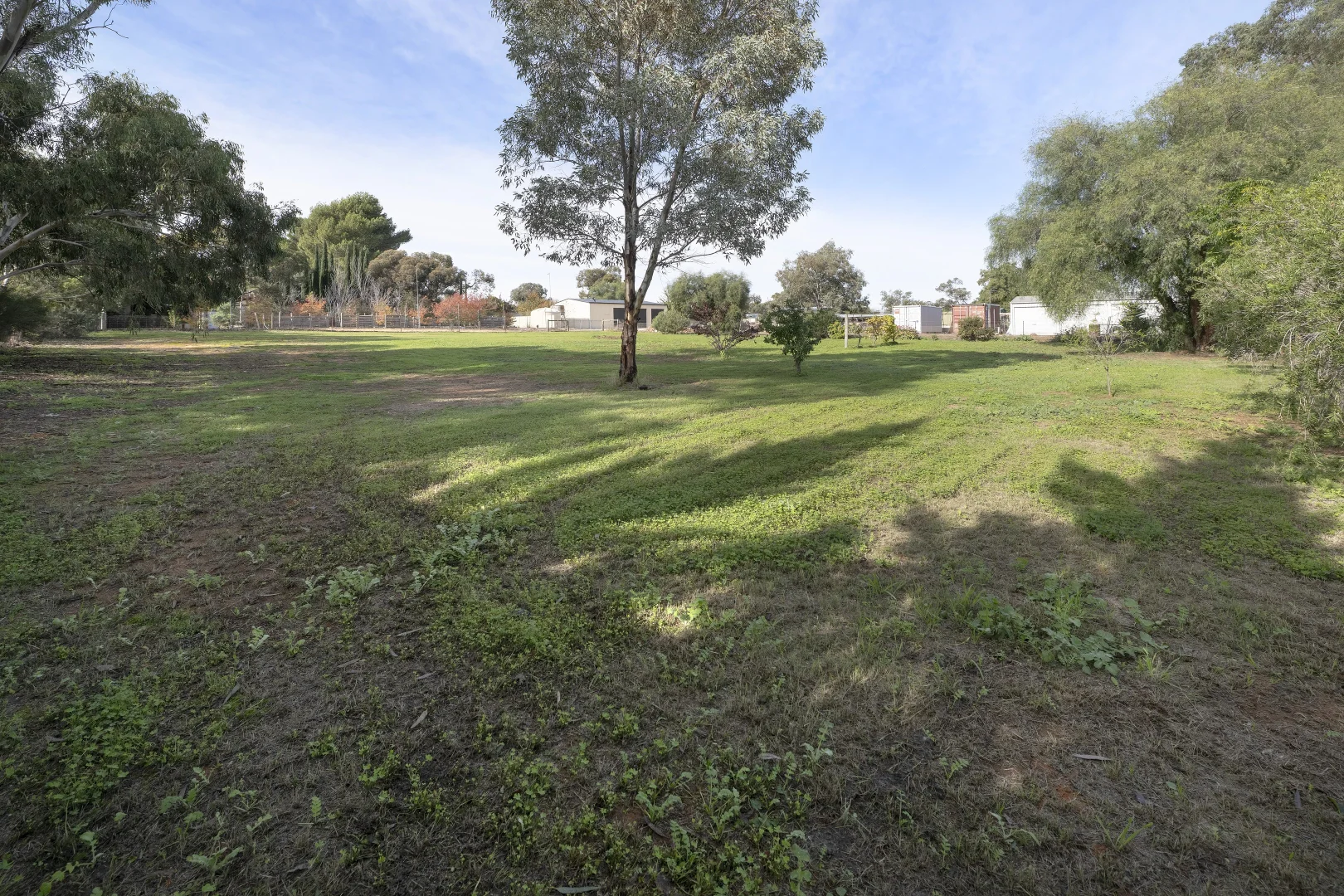 Image 22