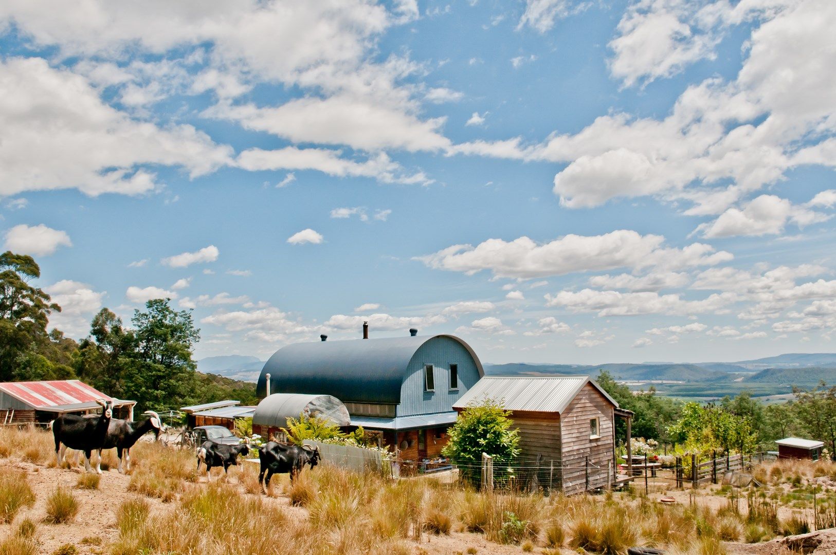 496 East Meander Road, Meander Property History & Address Research