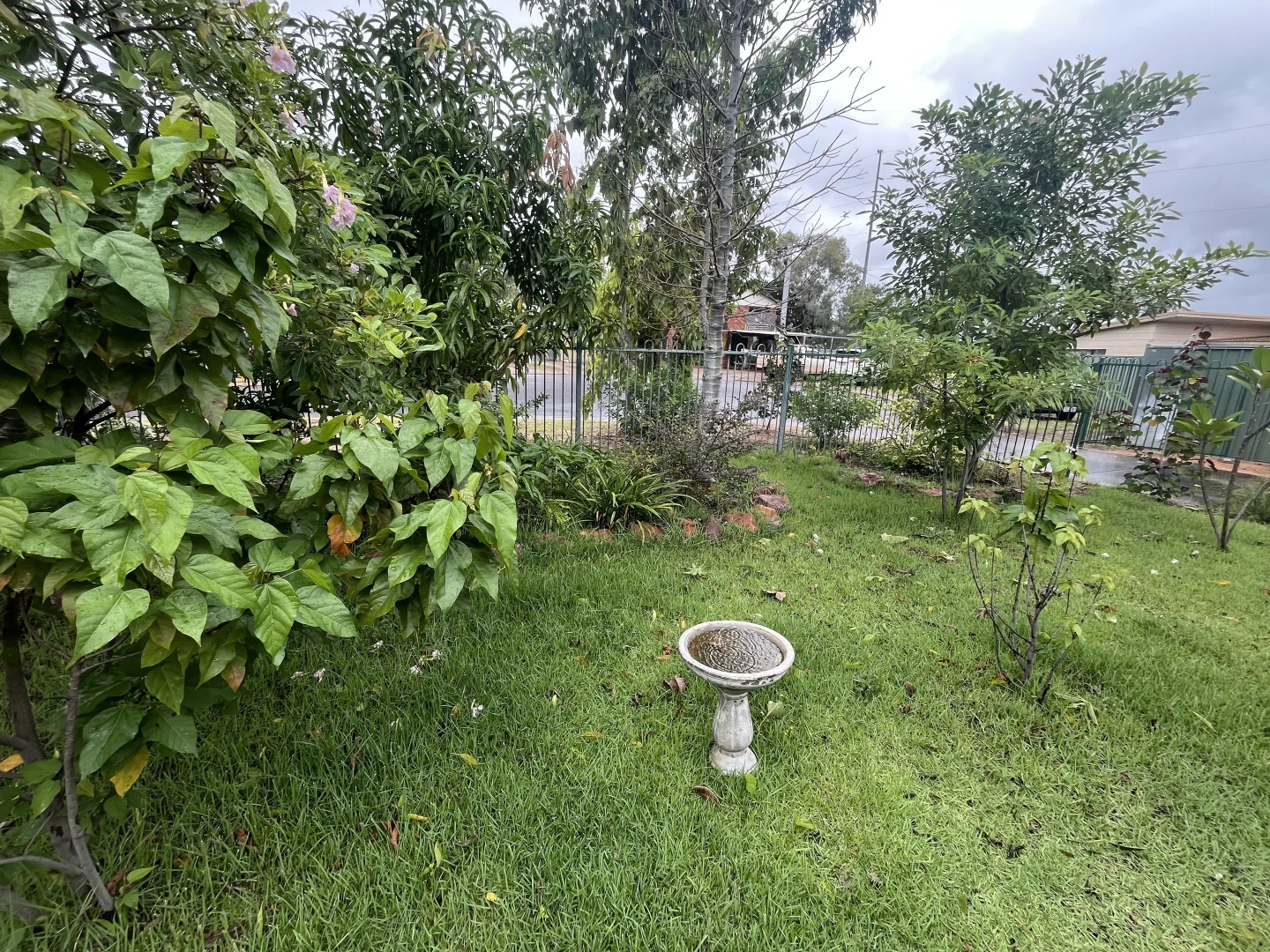 Image 21