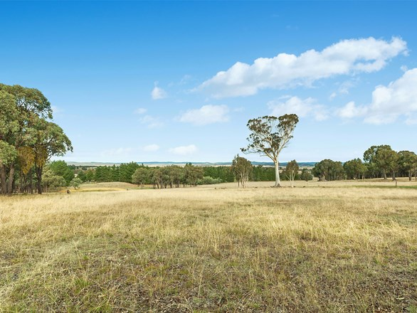 213 Noyes Lane, Gundaroo NSW 2620