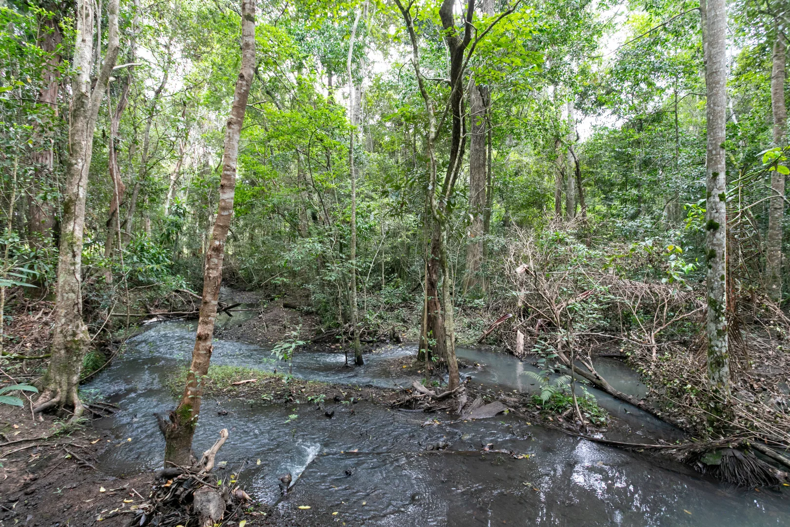 Additional image 29 of 46 Knobby Glen Road, Kandanga QLD 4570