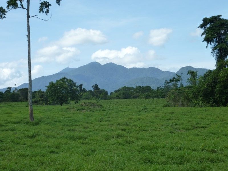 Lot 12 Healy road, Babinda QLD 4861, Image 2