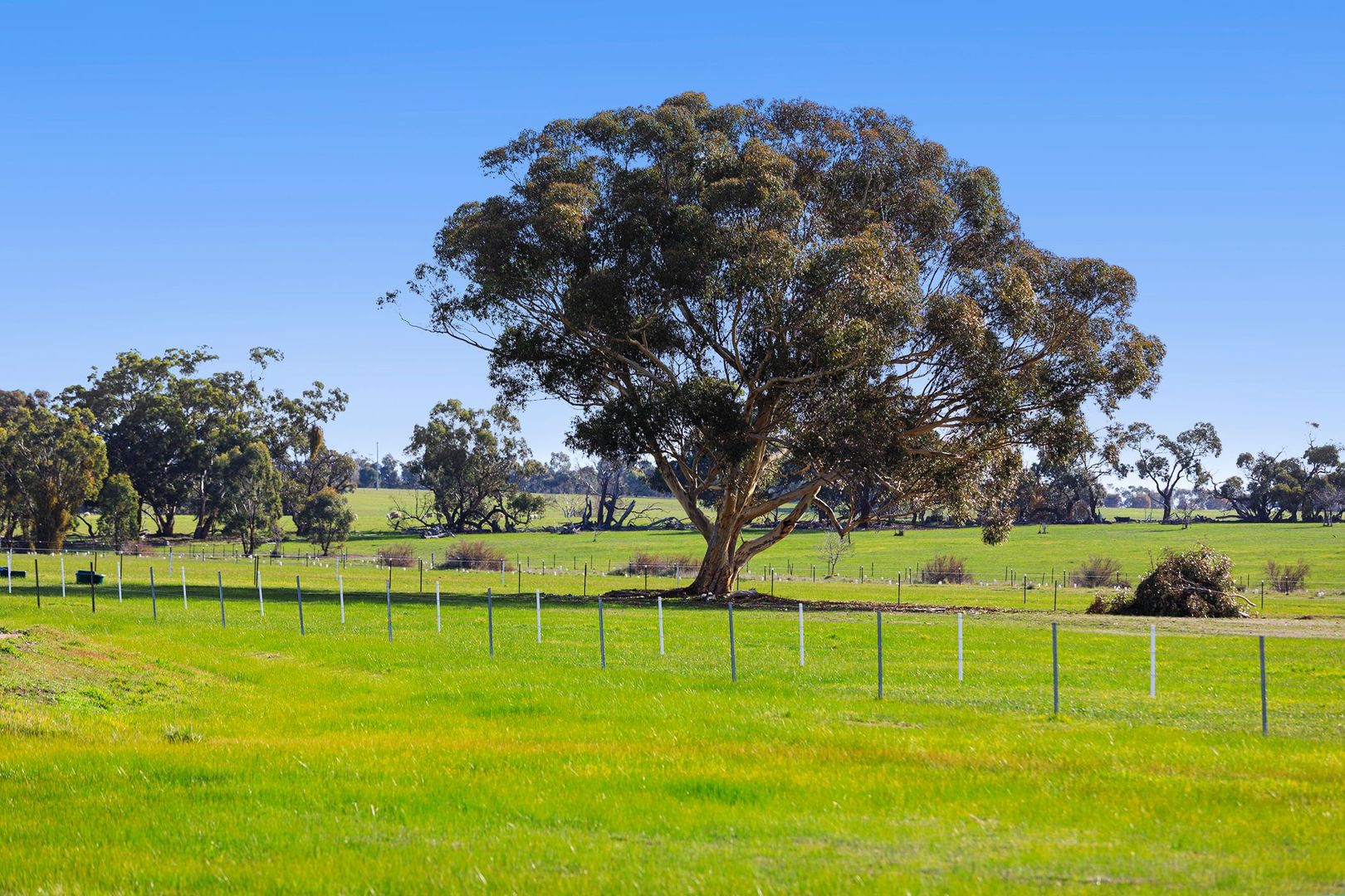 Lot 7 Wadsworth Road, Stawell VIC 3380, Image 2