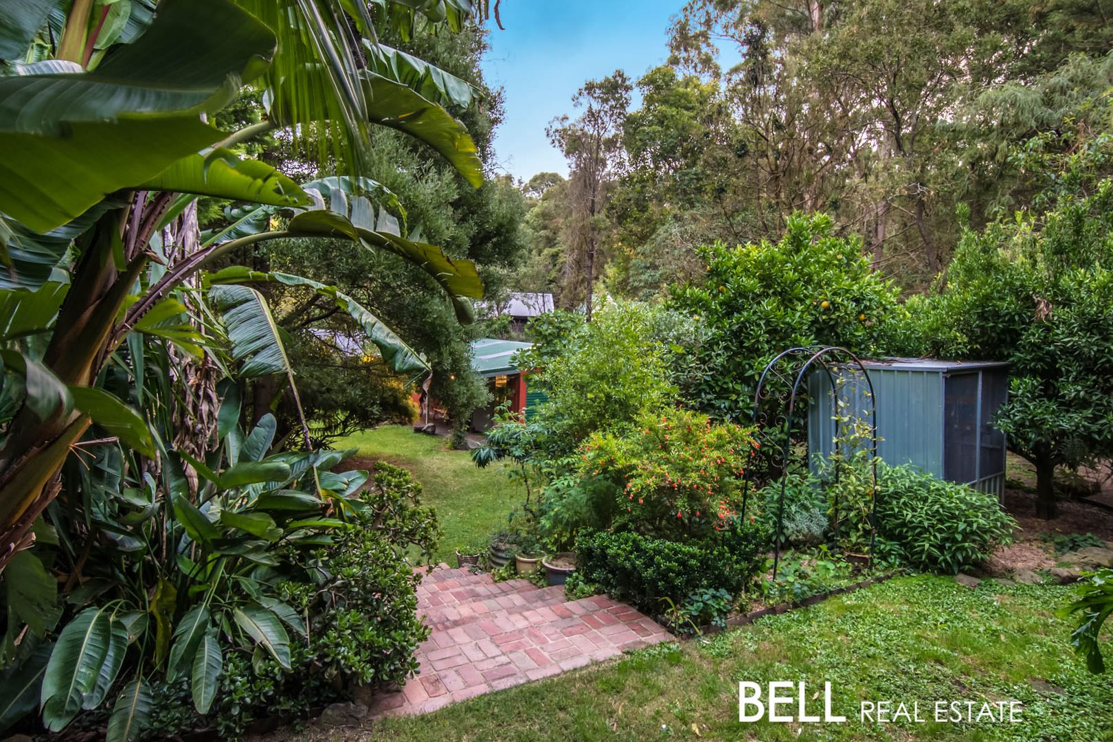 14 Olive Grove, Tecoma VIC 3160, Image 2