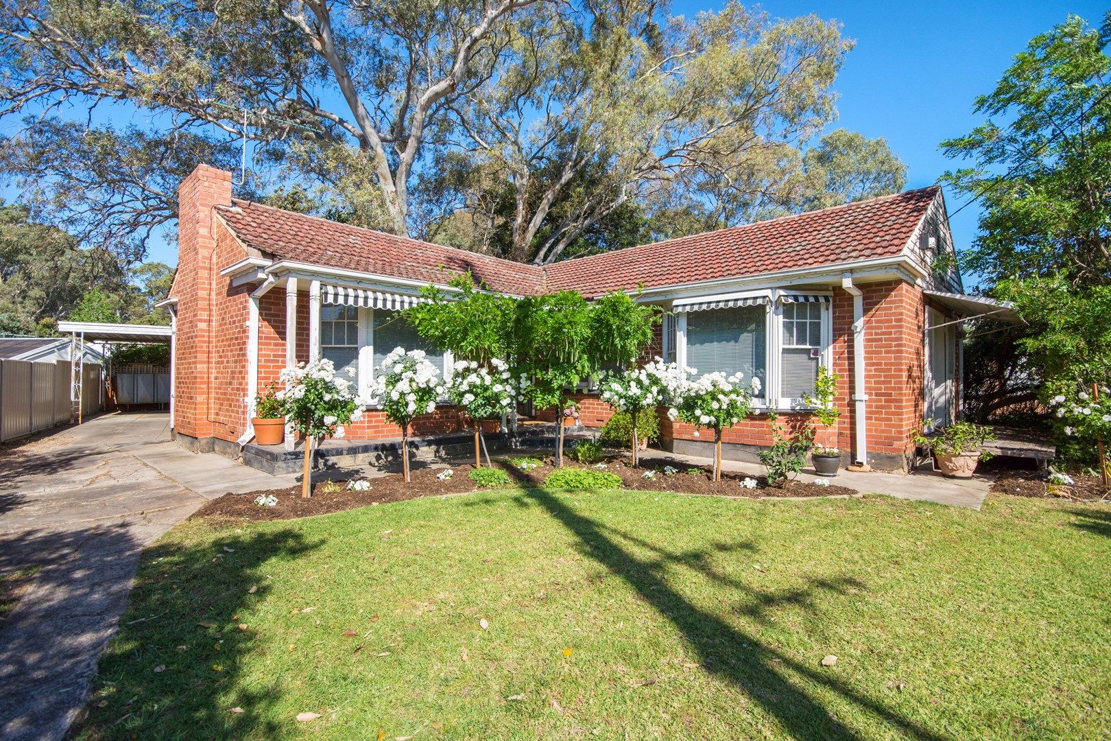 9 Forest Avenue, Rostrevor SA 5073, Image 0