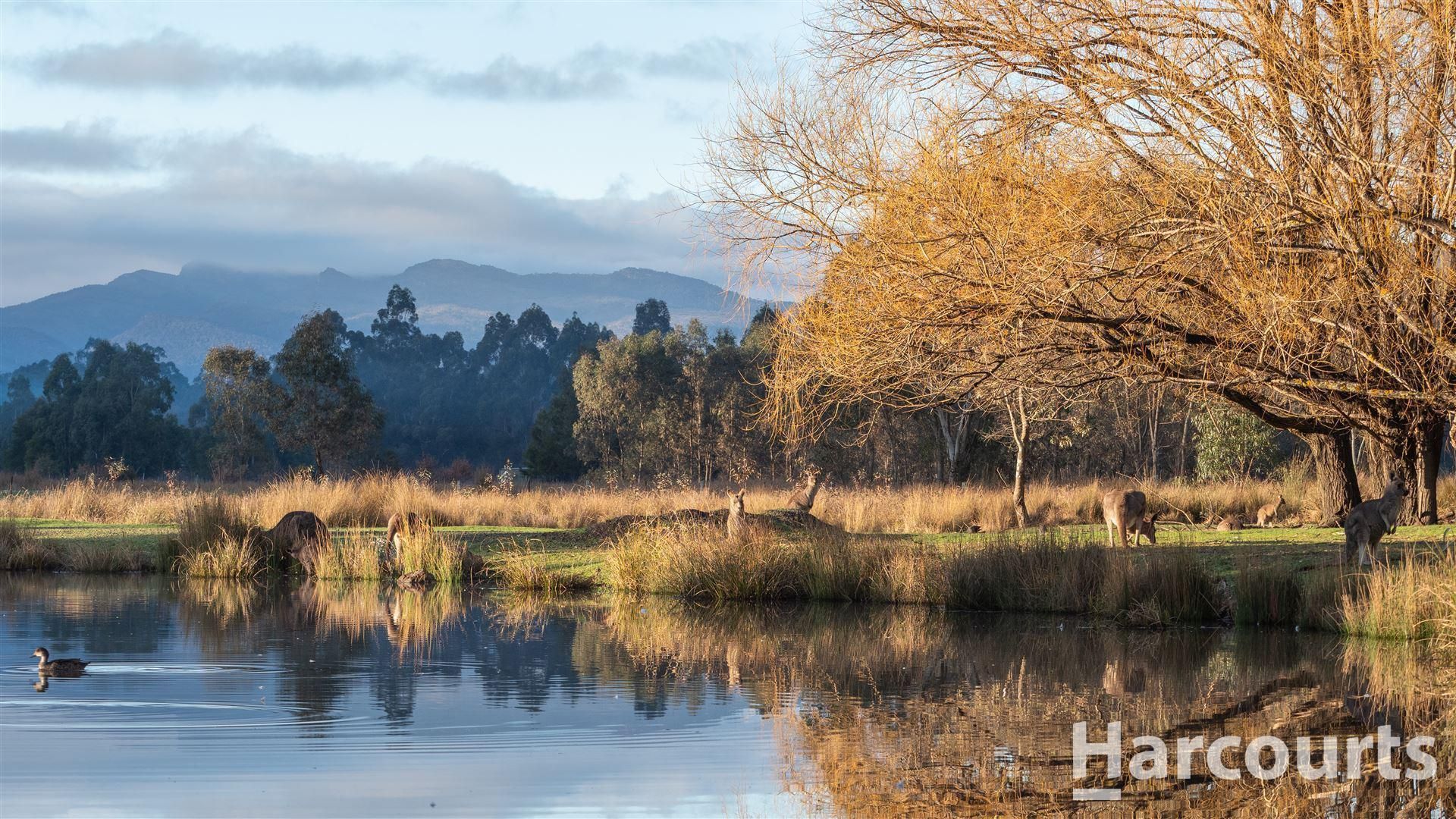 Lot 3 VALLEY Drive, Halls Gap VIC 3381 Domain
